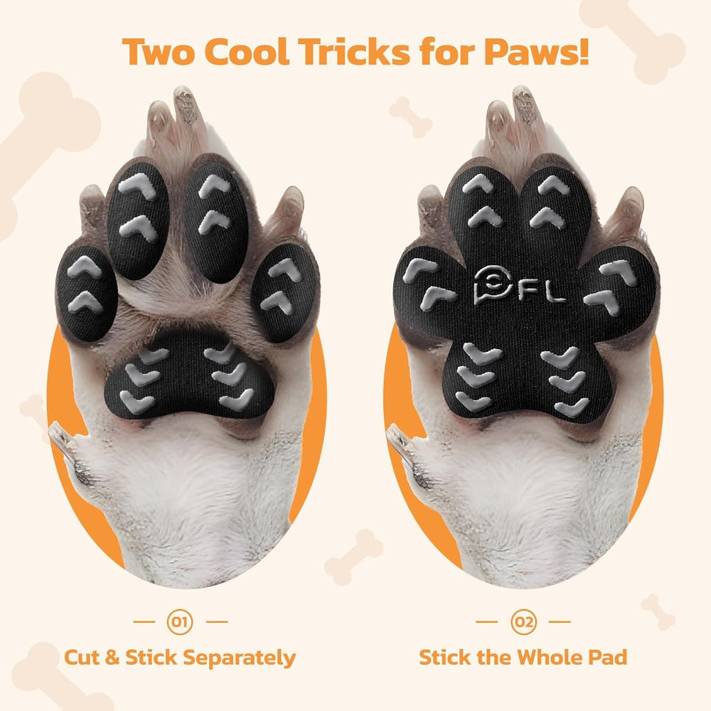PICK FOR LIFE dog using paw grips on slippery floor during play