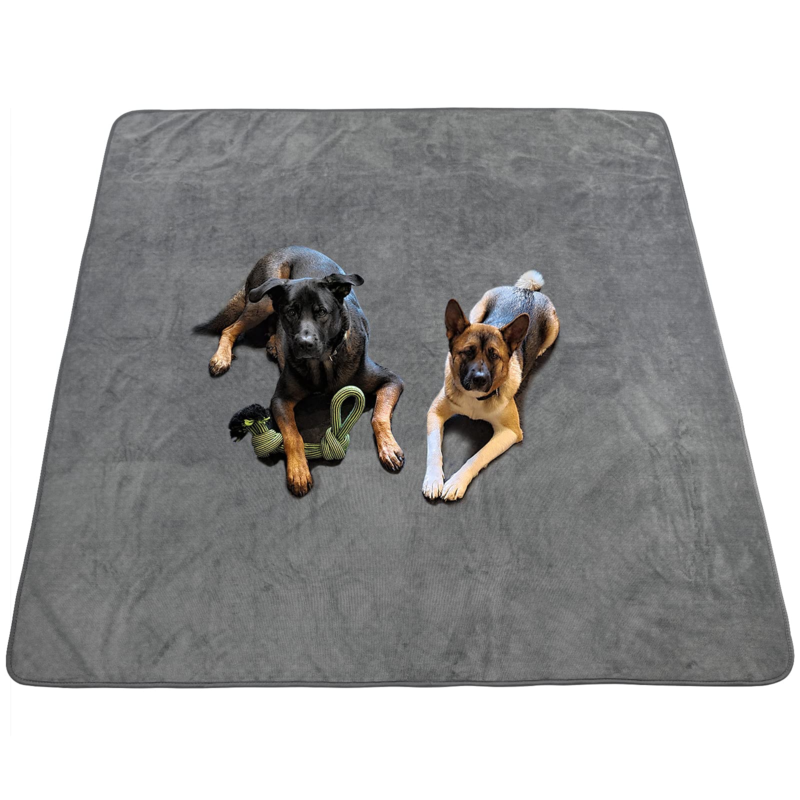 Pick For Life dog pee pad 65x48 inch, large size for training and housebreaking.
