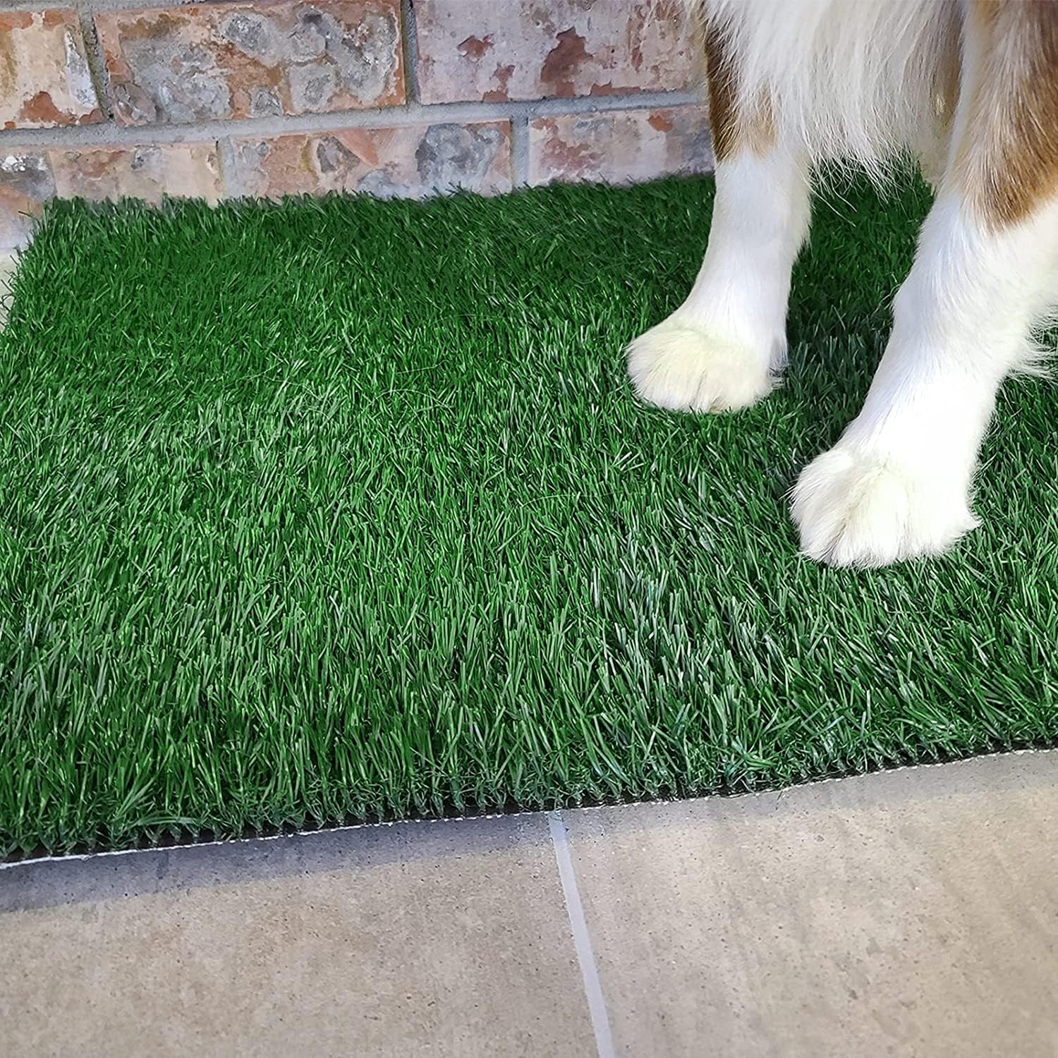 PICK FOR LIFE dog potty-training guide demonstrates step-by-step placement and usage tips.