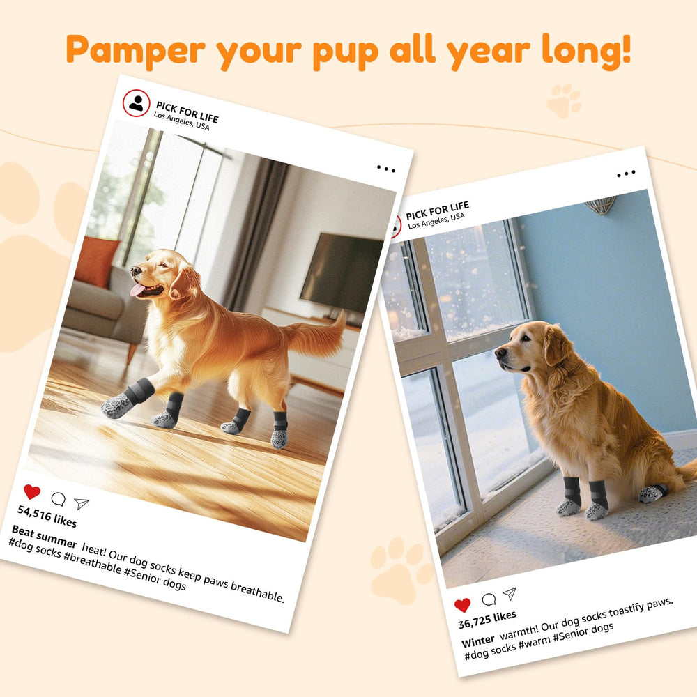PICK FOR LIFE senior dog friendly grip socks aiding slippery tile adventures