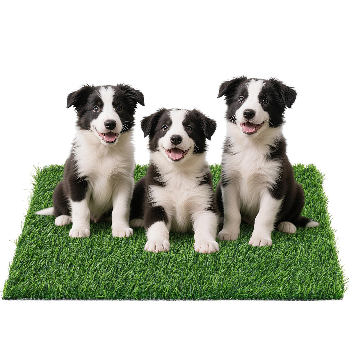 PICK FOR LIFE grass pad close-up shows soft grass fibers for puppy potty training