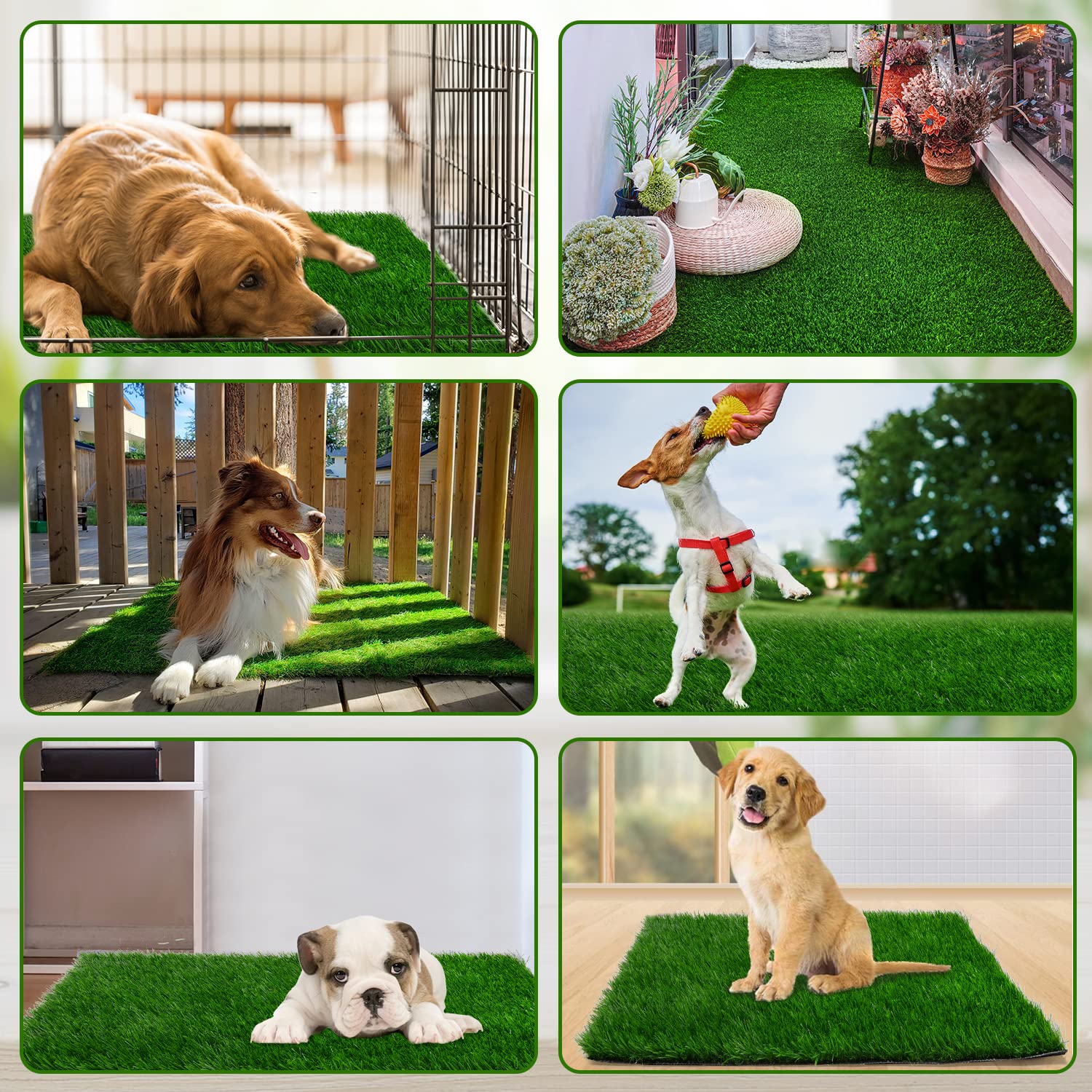 PICK FOR LIFE grass pad potty-training-scene depicts a large surface for dogs to acclimate.
