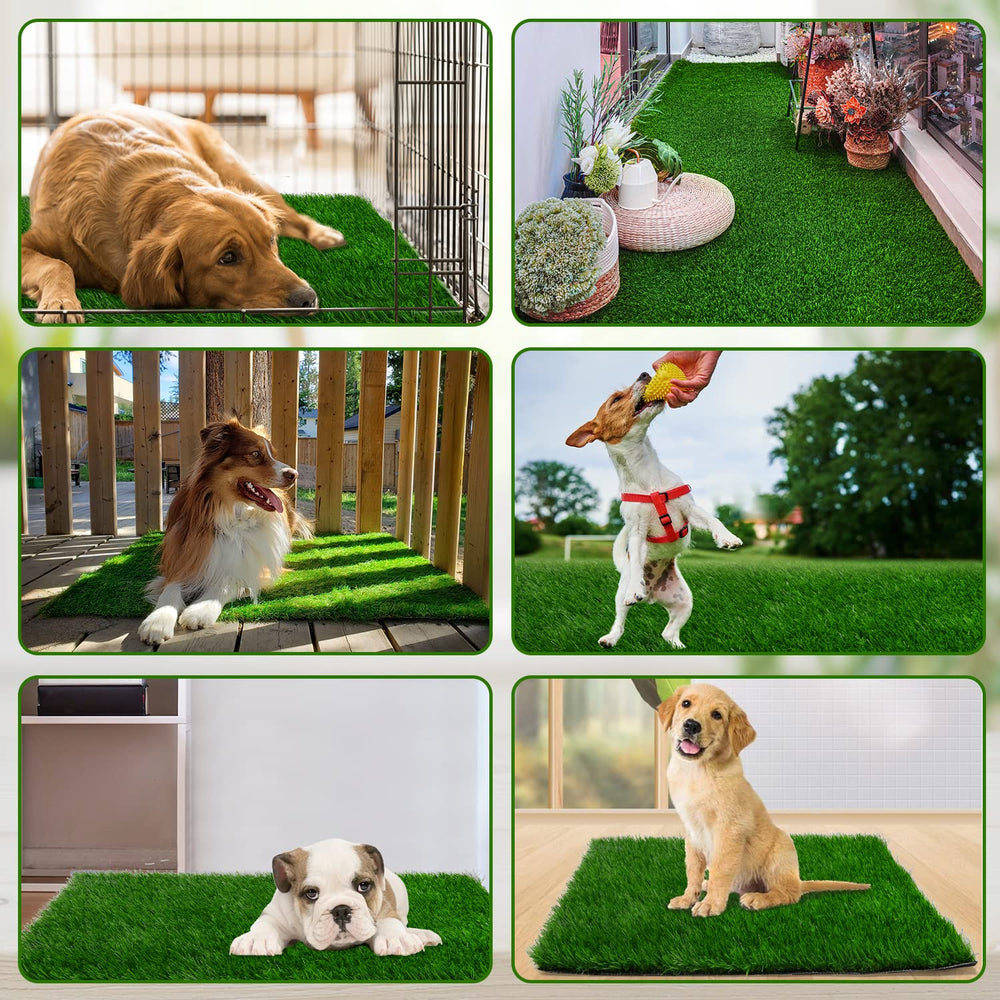 PICK FOR LIFE grass pad potty-training-scene depicts a large surface for dogs to acclimate.