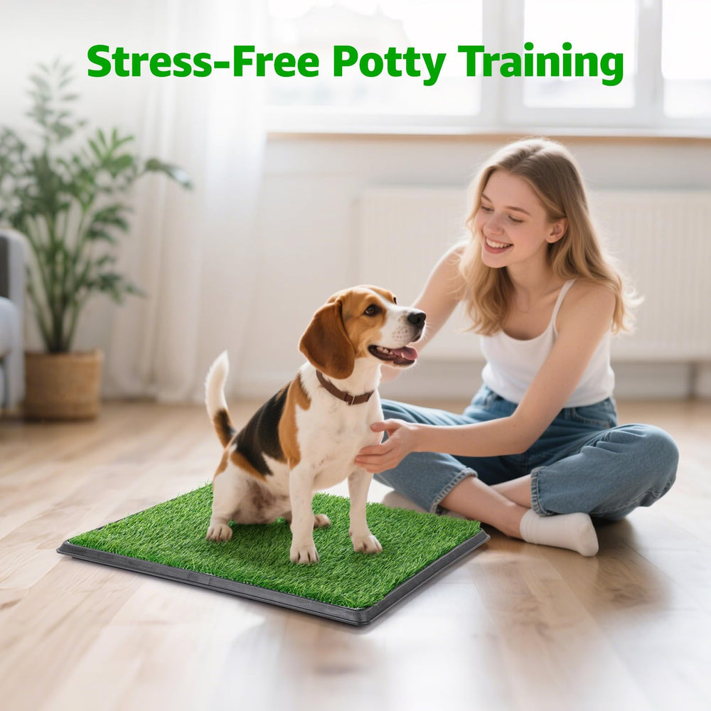 PICK FOR LIFE guiding-dog-use-potty-tips demonstrates scent cue for initial training