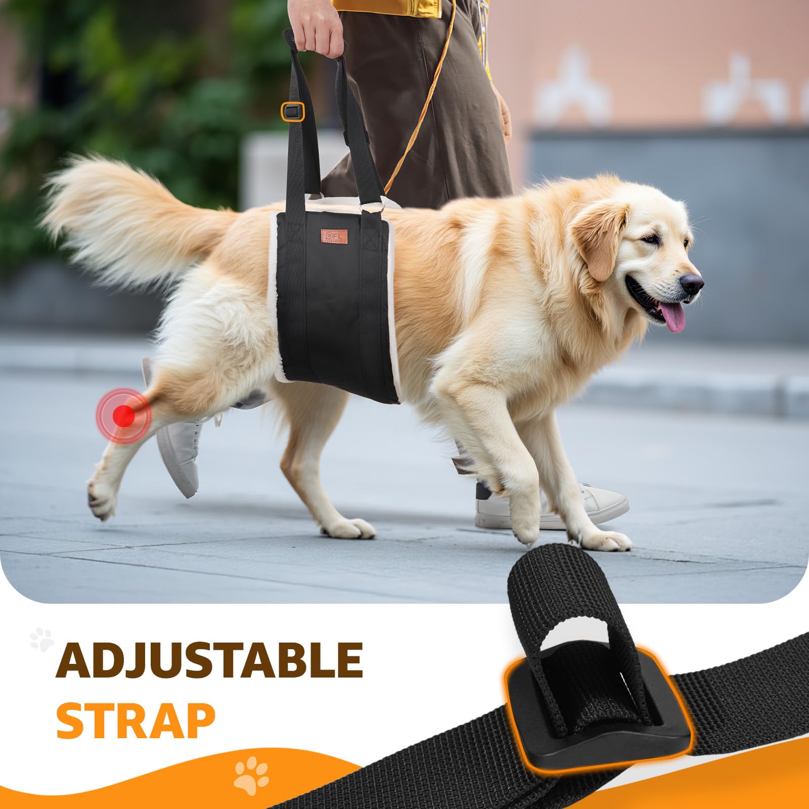 PICK FOR LIFE rear-leg support during car transfers for easier loading.
