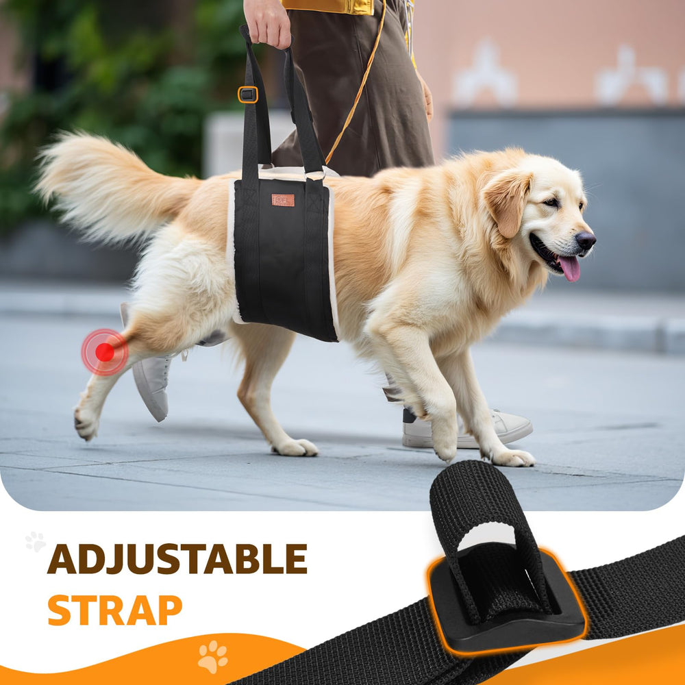 PICK FOR LIFE rear-leg support during car transfers for easier loading.