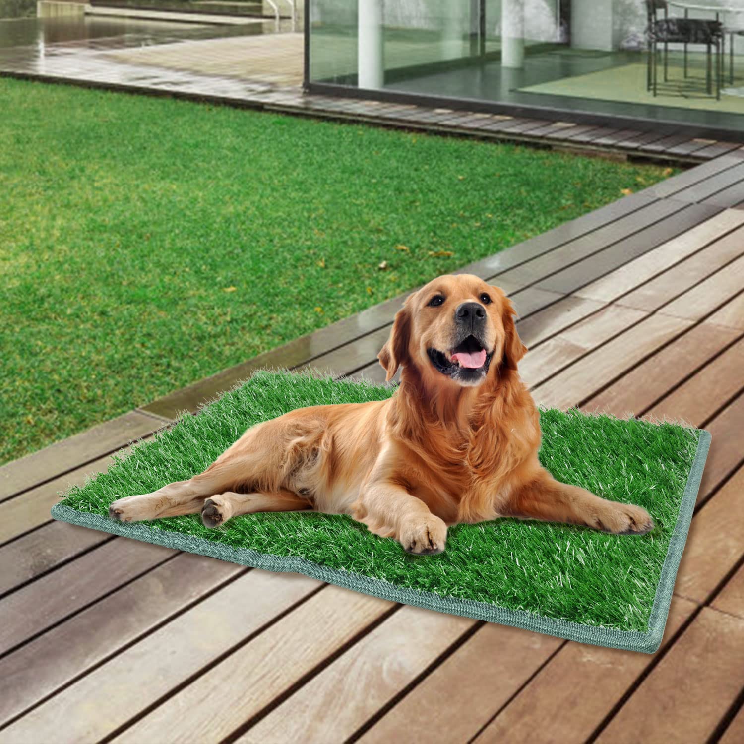 PICK FOR LIFE soft real-grass look two-pack dog pad