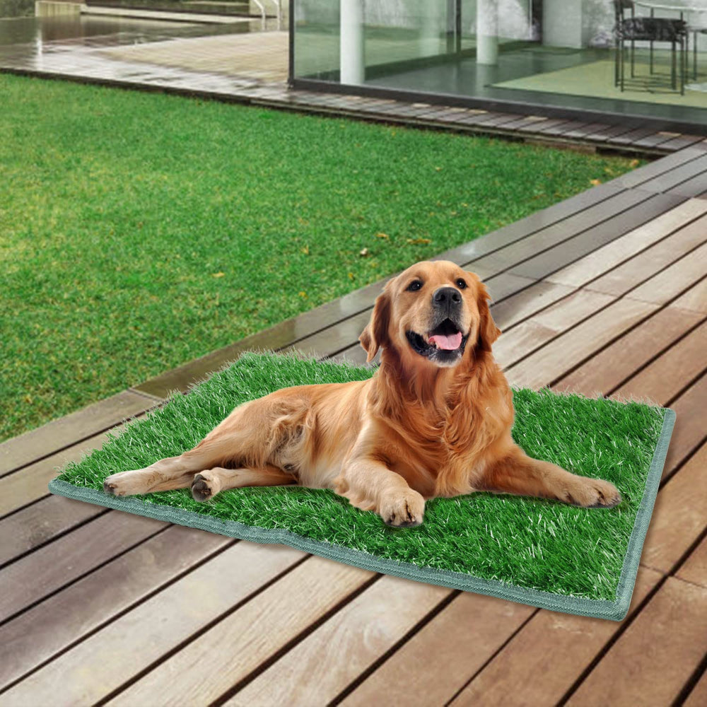 PICK FOR LIFE soft real-grass look two-pack dog pad