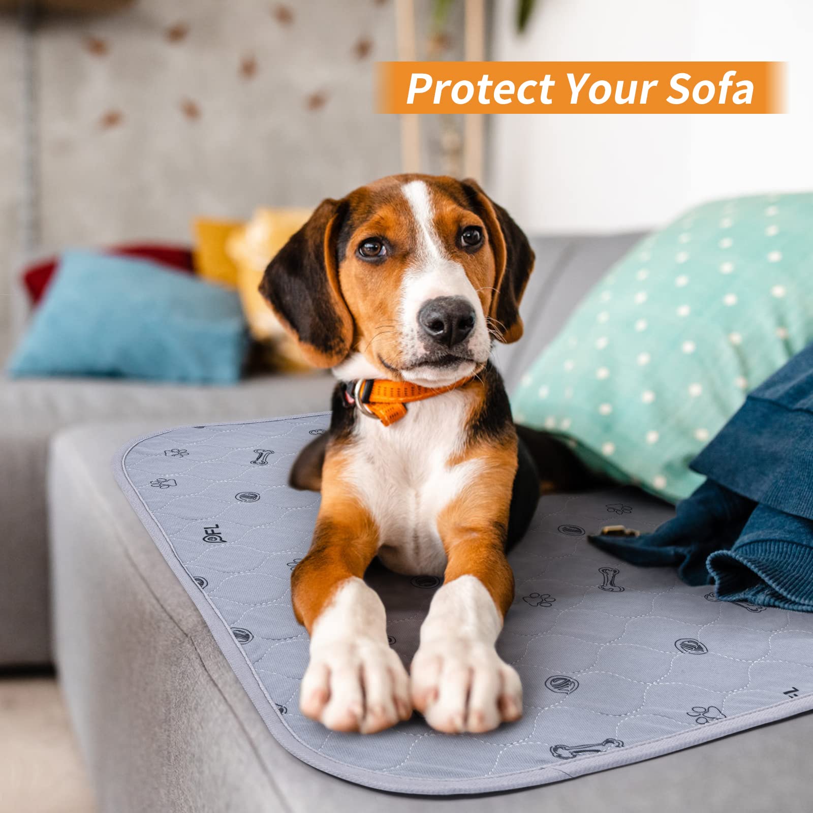 PICK FOR LIFE travel-ready pad folds for quick mess-free trips with puppies.