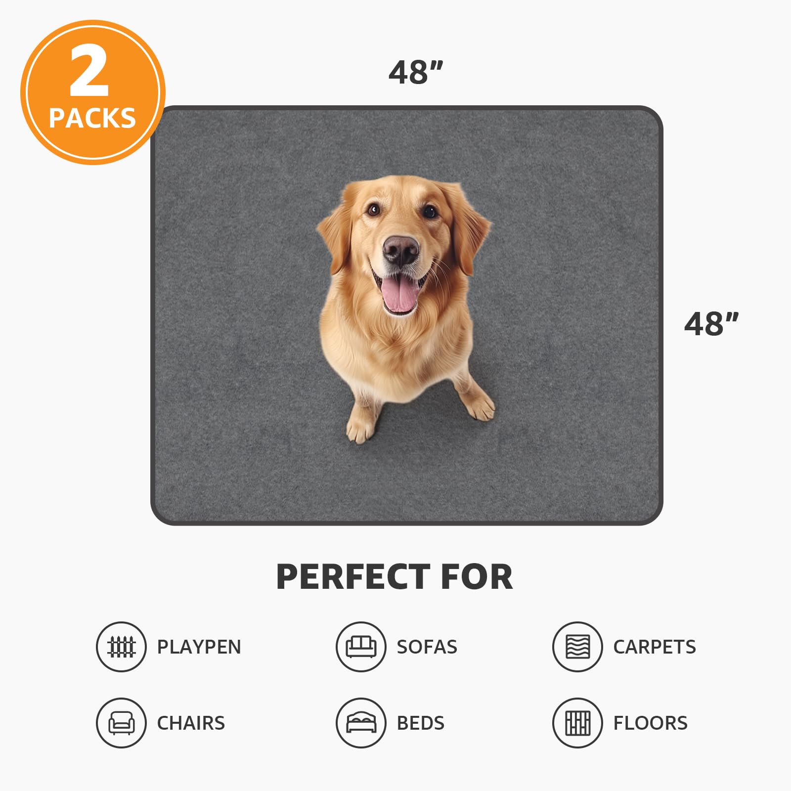 PICK FOR LIFE house-training focus pad helps with puppy potty routines.