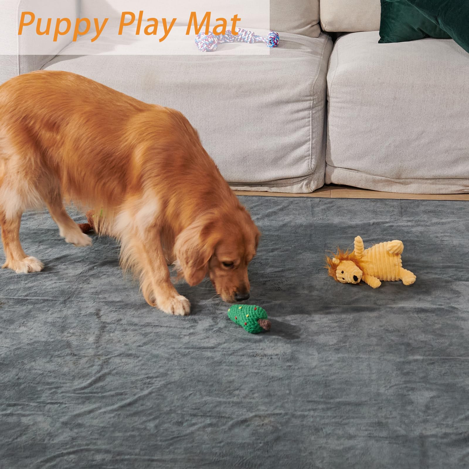 PICK FOR LIFE whelping-use layout emphasizes gentle protection for early life stages.