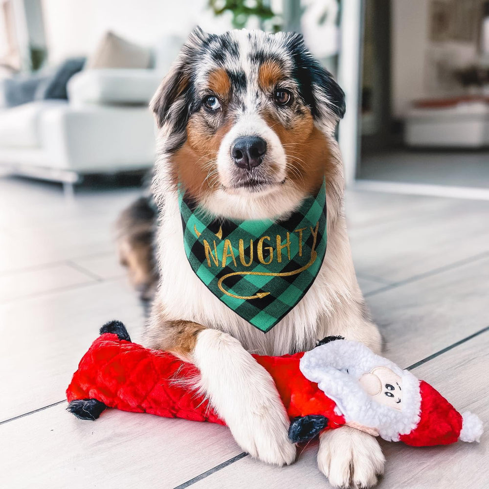 PICKUPIK Christmas dog bandana cotton-soft touch for comfort