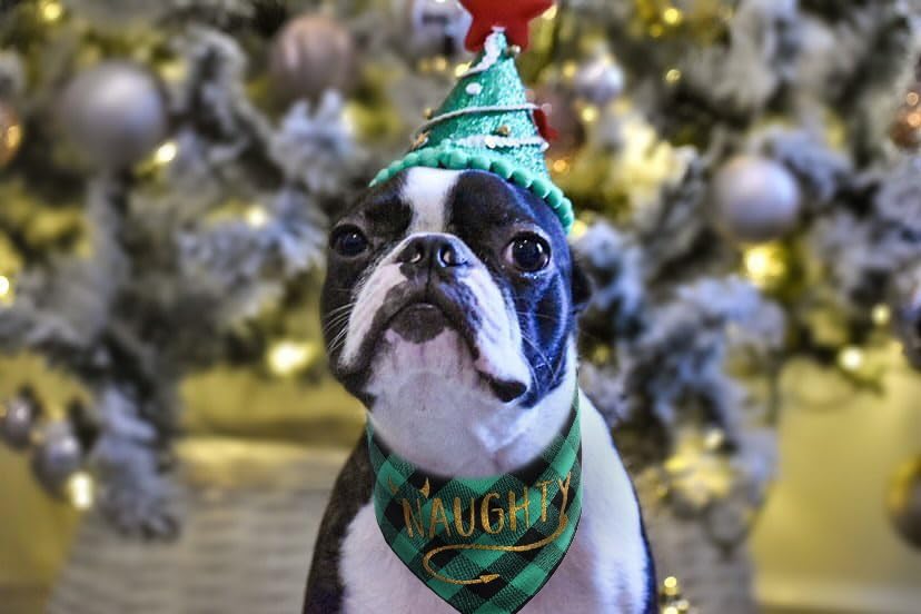 PICKUPIK Christmas dog bandana for all dogs during holidays