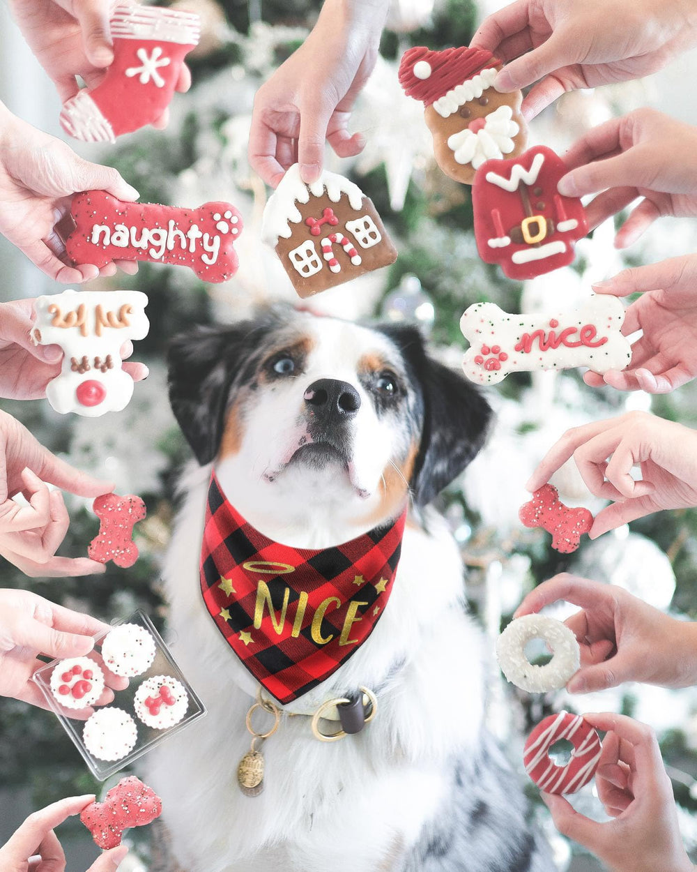 PICKUPIK Christmas dog bandana ideal for xmas outfits and photos