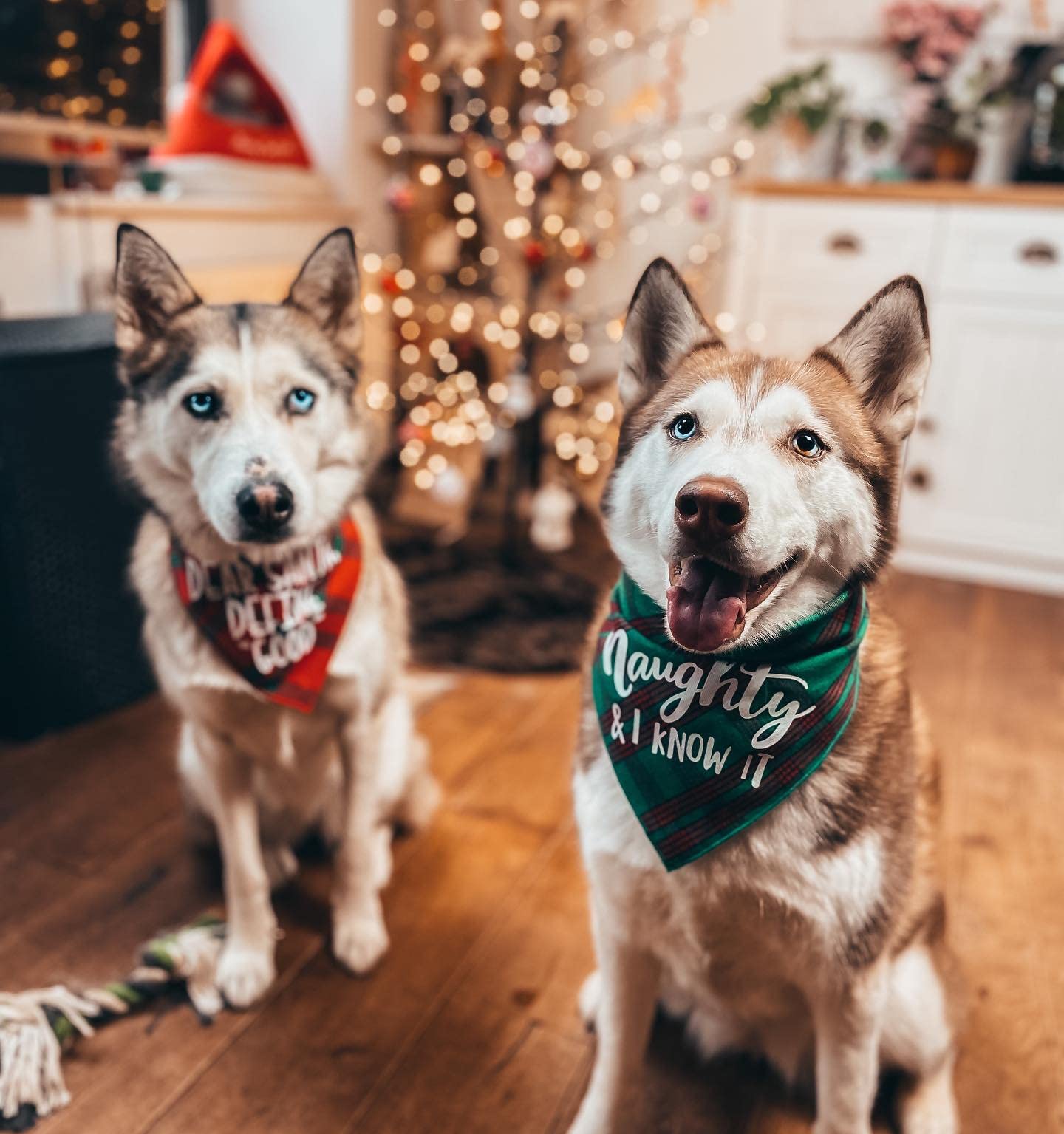PICKUPIK dog Christmas bandana green plaid adds playful holiday charm for pets.