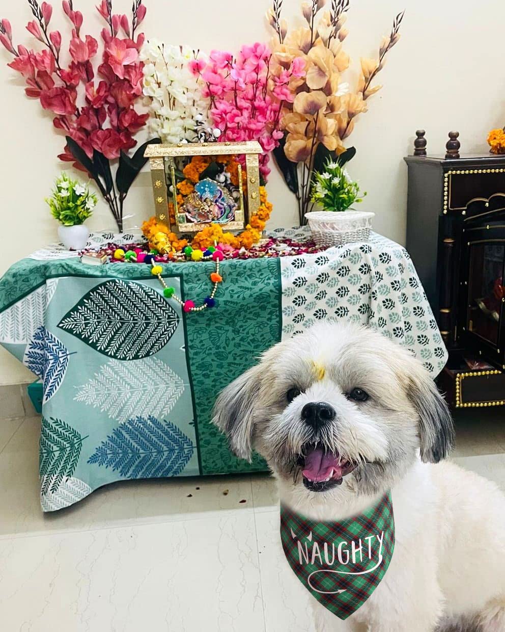 PICKUPIK Naughty Nice Dog Bandana 5 crafted from soft cotton for breathable comfort.