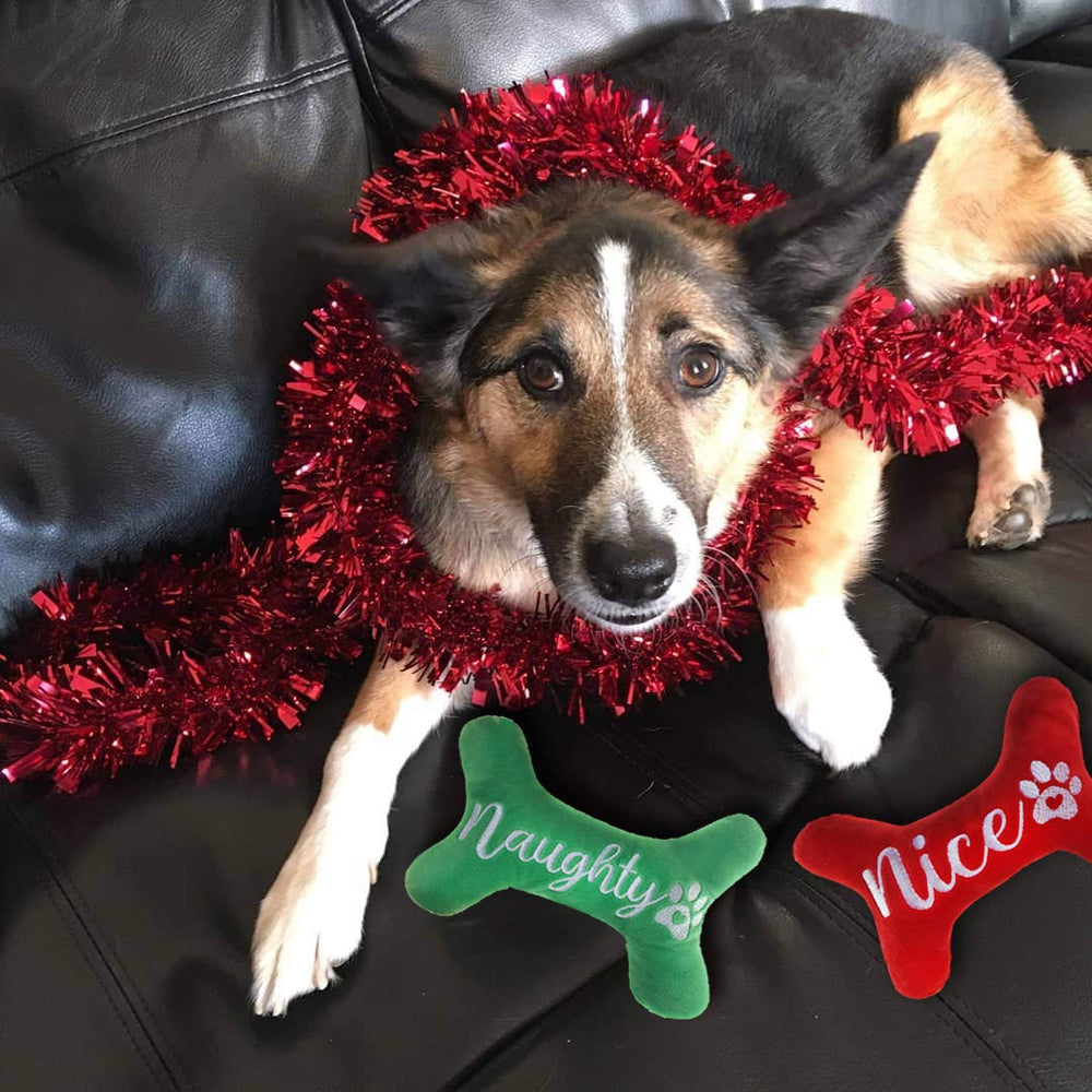 PICKUPIK bright-color bone toys help attract and entertain pups.