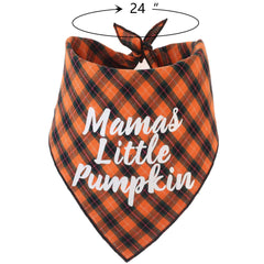 Pickupik dog plaid bandana on a pup demonstrates festive Thanksgiving walks and photos.