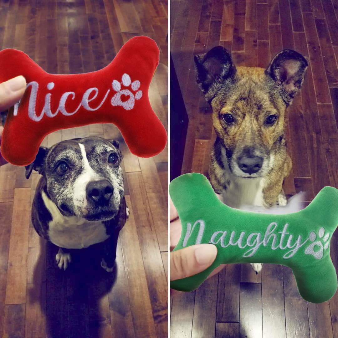 PICKUPIK two 8-inch bone toys ideal gift for tiny puppies.