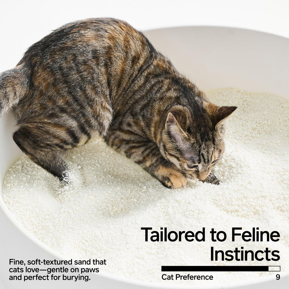 Pidan Cassava Cat Litter odor-control feature in action