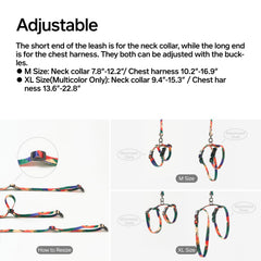 Pidan cat harness adjustable strap system demonstrates customizable fit for different cats.
