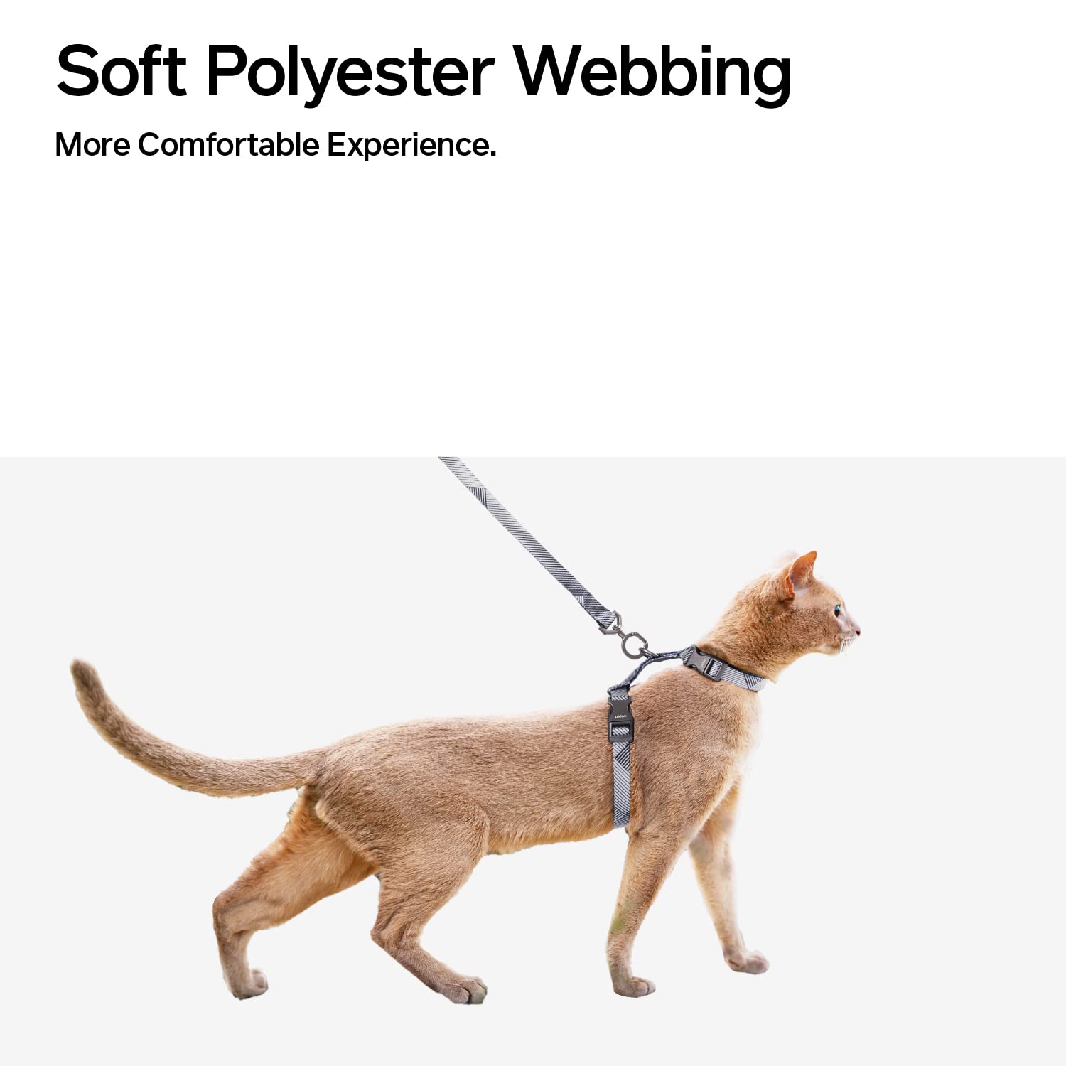 Pidan cat harness neck girth range graphic shows versatile sizing.