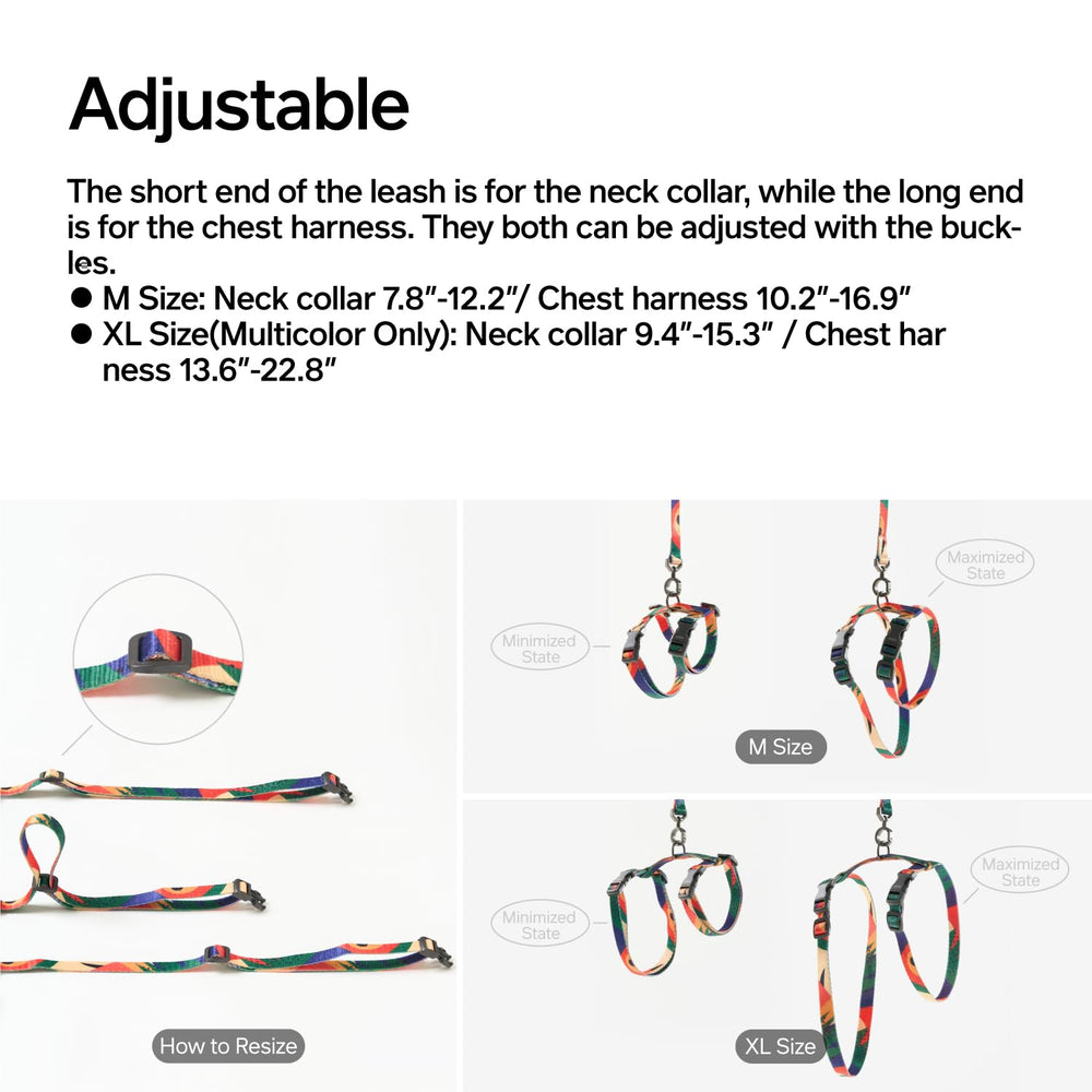 Pidan cat harness on cat during walk demonstrates escape-proof design for safe exploration.