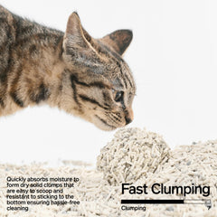 Pidan Mix Cat Litter granules close-up shows anti-tracking texture.