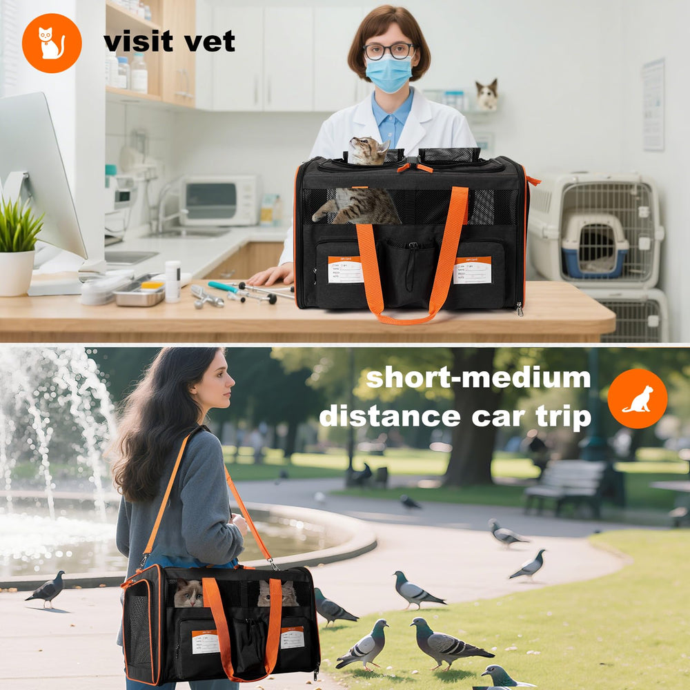 Pidipiti car travel ready placement on back seat for quick trips