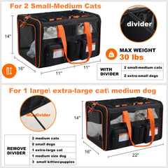 Pidipiti divider setup with Velcro separating two pets during travel