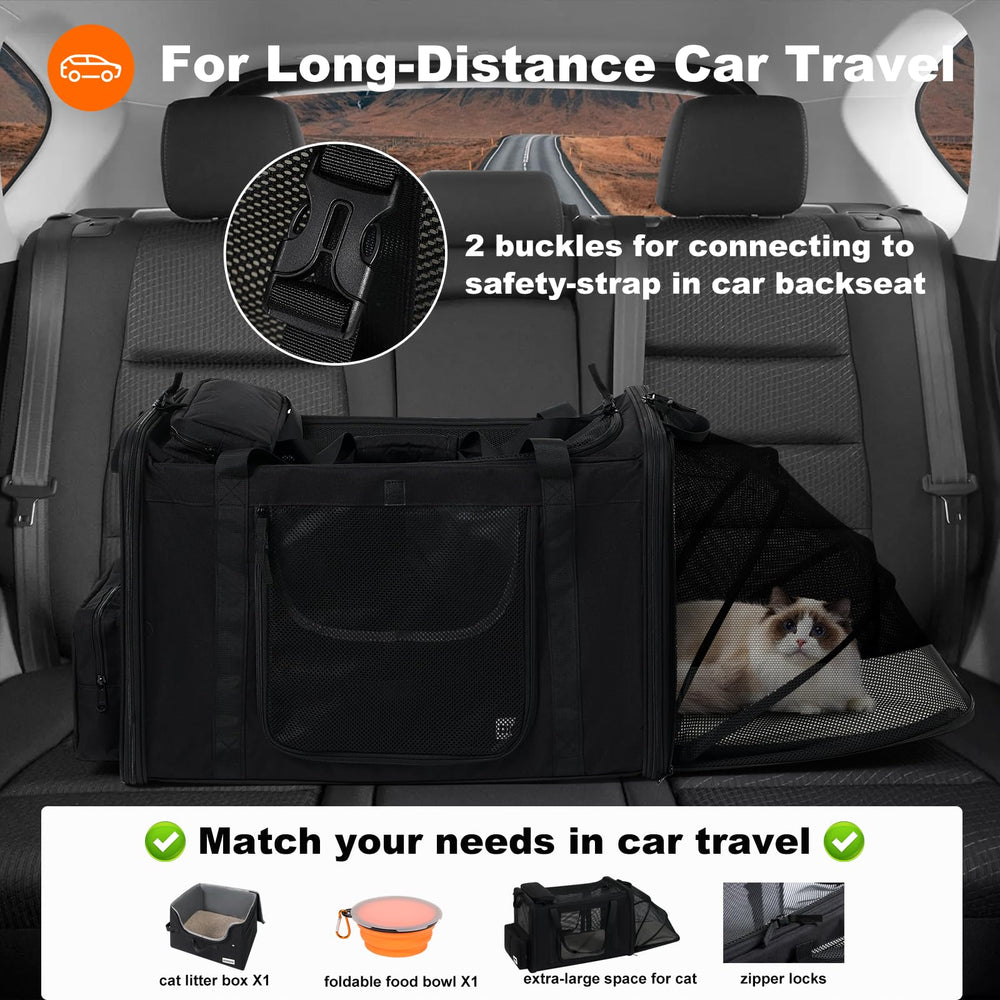 Pidipiti foldable bowls with cover image suggests convenient on-the-road meals.