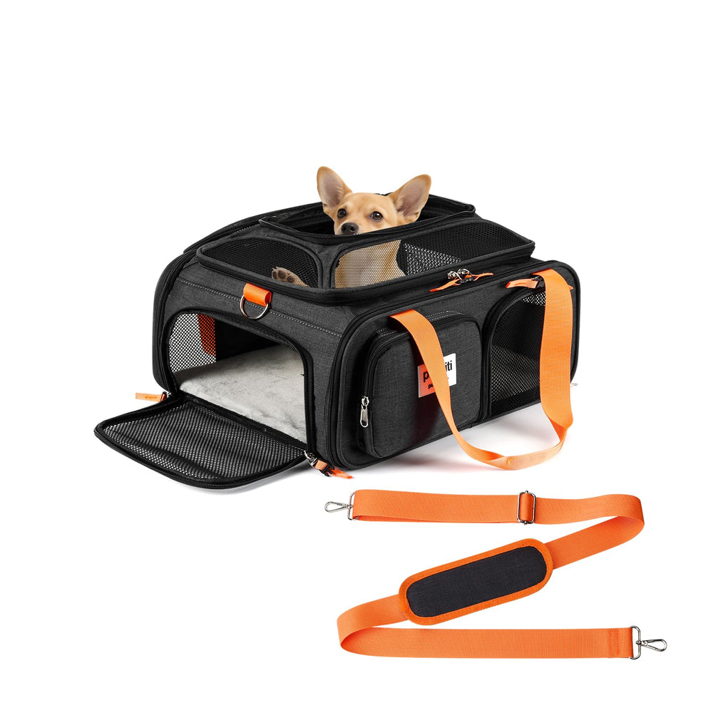 Pidipiti frontier-allegiant expandable-top under-seat closed: cabin-friendly setup for tiny pets.