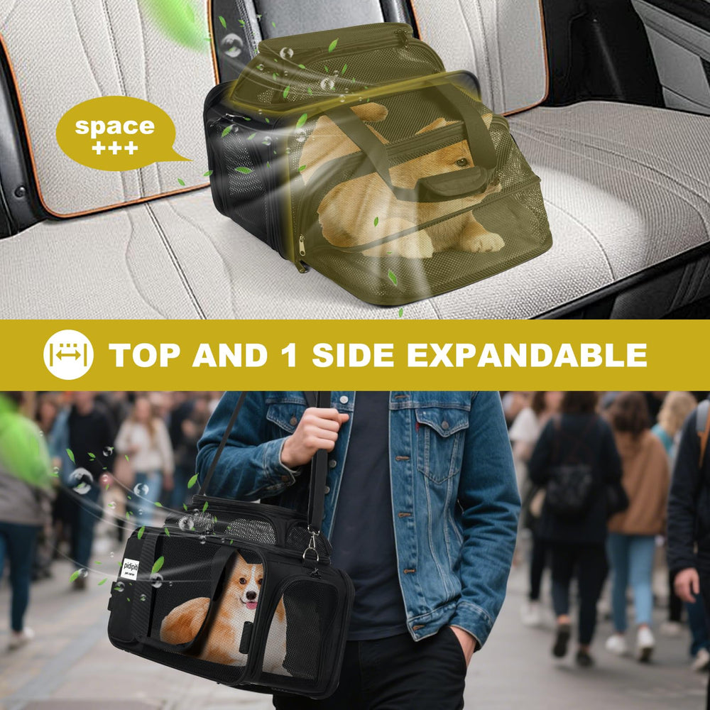 Pidipiti durable zippers and tether for secure pet transport