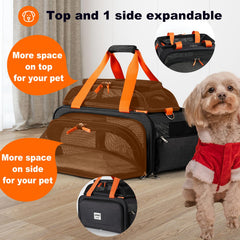 Pidipiti pet carrier with metal-frame stability for secure travel