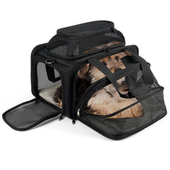 Pidipiti top-and-side expandable pet carrier underseat travel view for cabins