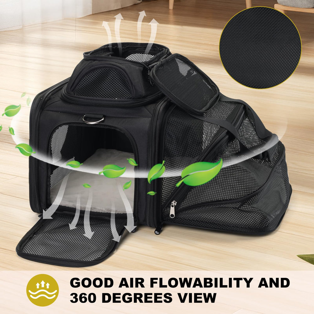 Pidipiti underseat airline-approved pet carrier for compact cabin travel