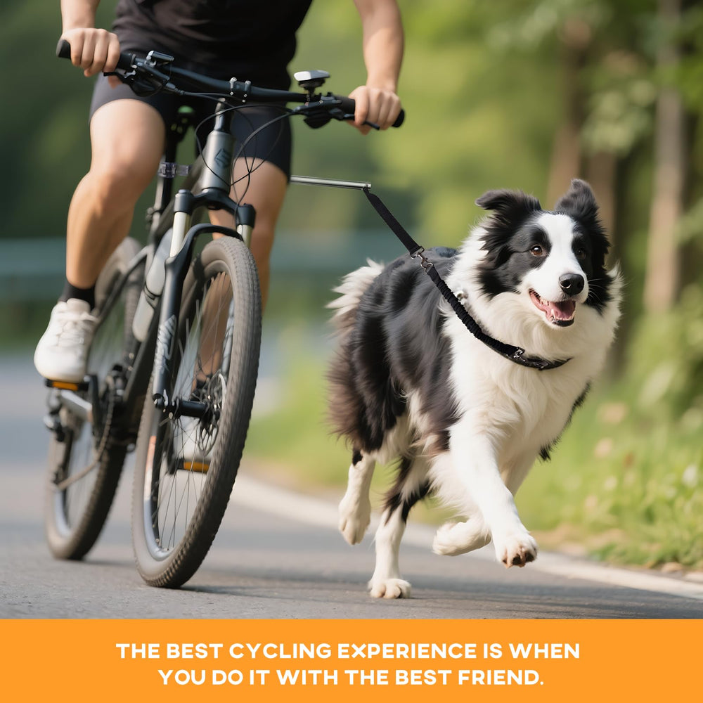 Pietenjoy heavy-duty construction ensures durability on medium to large breeds.