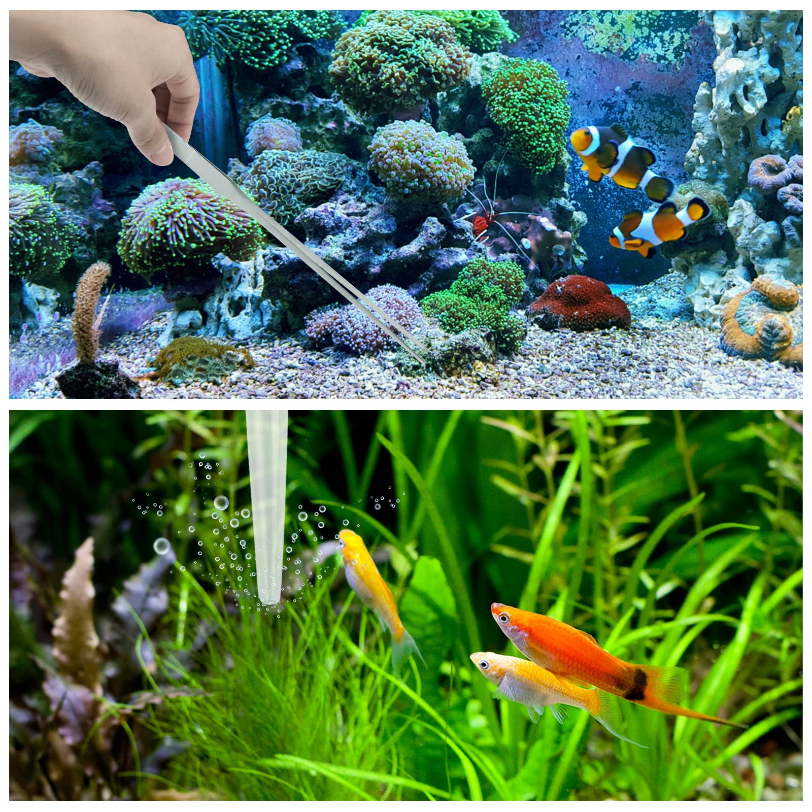 PietyPet algae scraper glass aquarium 12.6in keeps viewing clear.