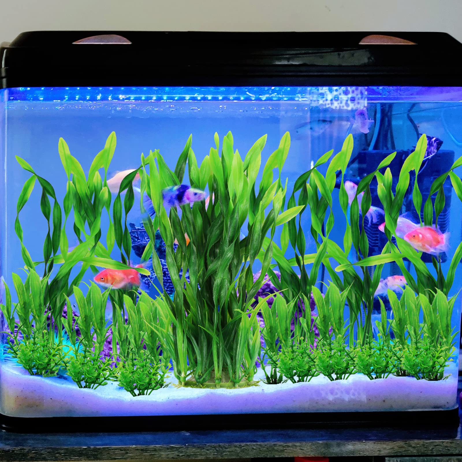 PietyPet Suitable for freshwater and saltwater environments without changing pH.