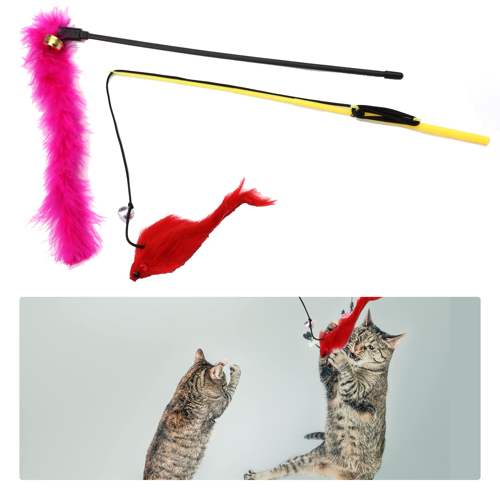 PietyPet crinkle balls invite chasing and sustained engagement.