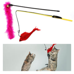 PietyPet crinkle balls invite chasing and sustained engagement.