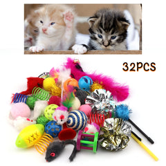 PietyPet feather toy sparks interactive play and sensory engagement.