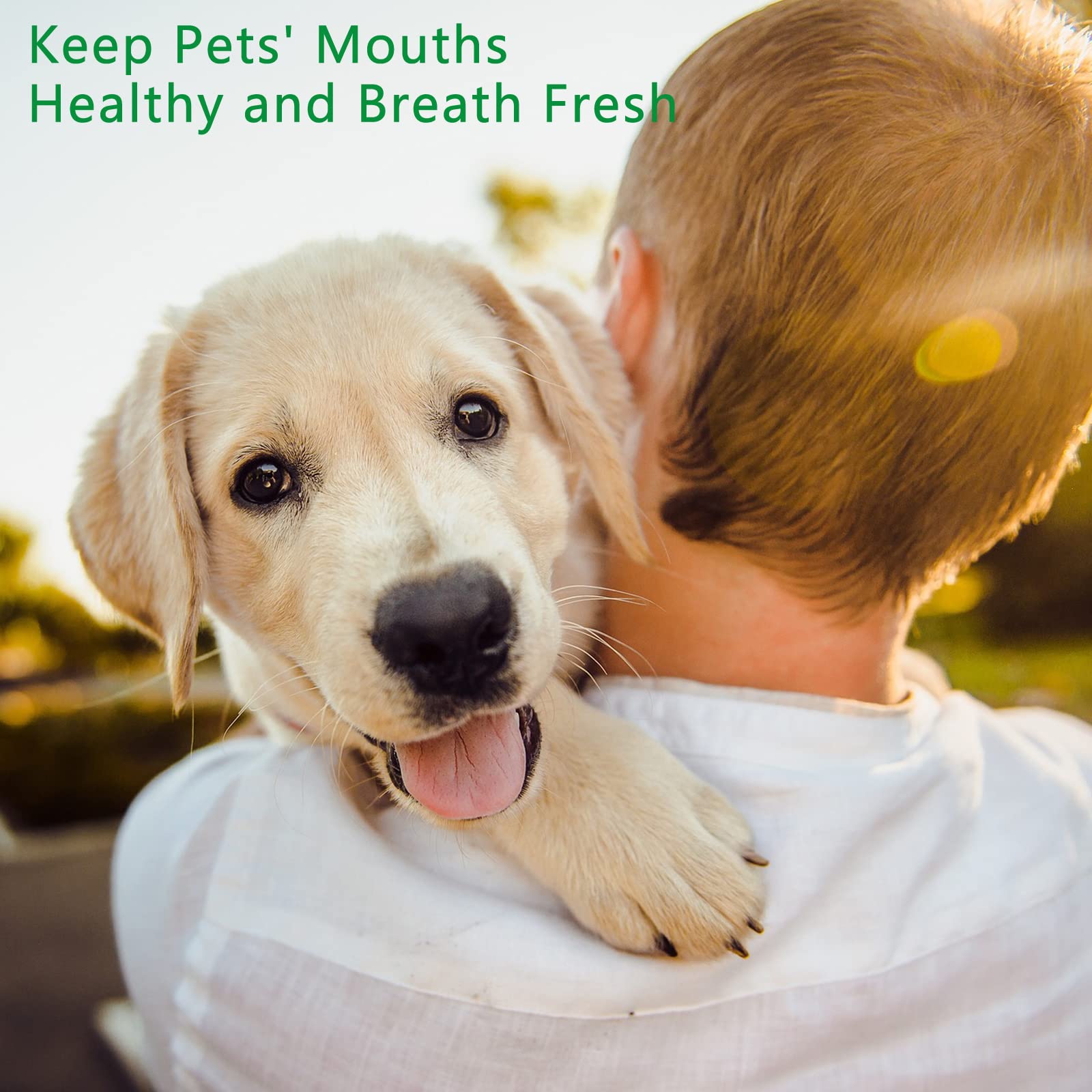 Pijaborg brush in use demonstrates gentle, thorough cleaning of pet teeth
