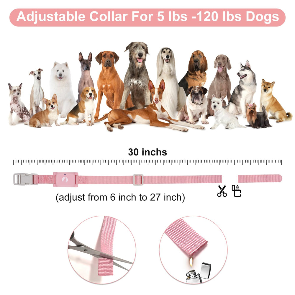Pikabiu dog shock collar waterproof remote shows outdoor durability in rain or sun.
