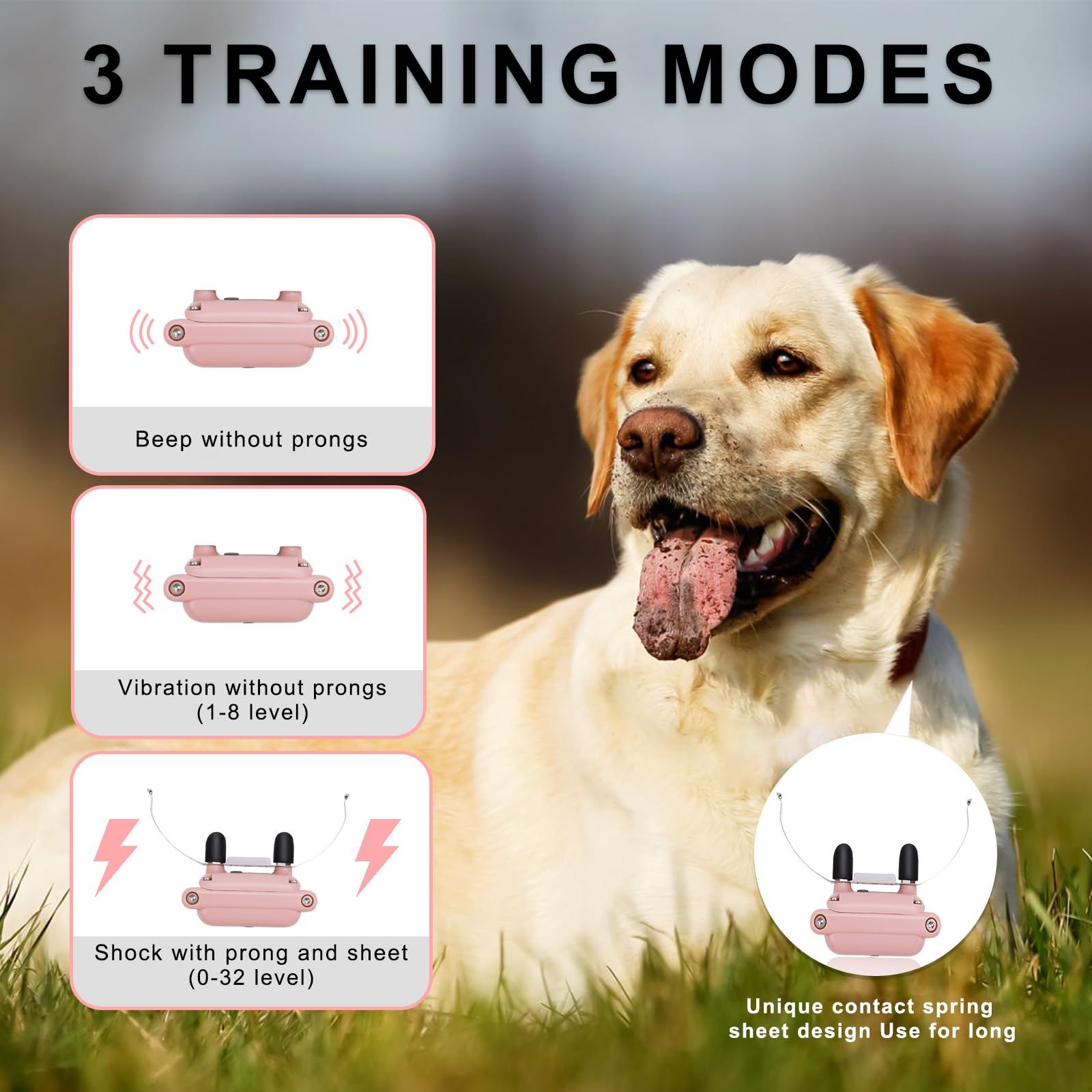 Pikabiu dual-collar set supports training two pets simultaneously.