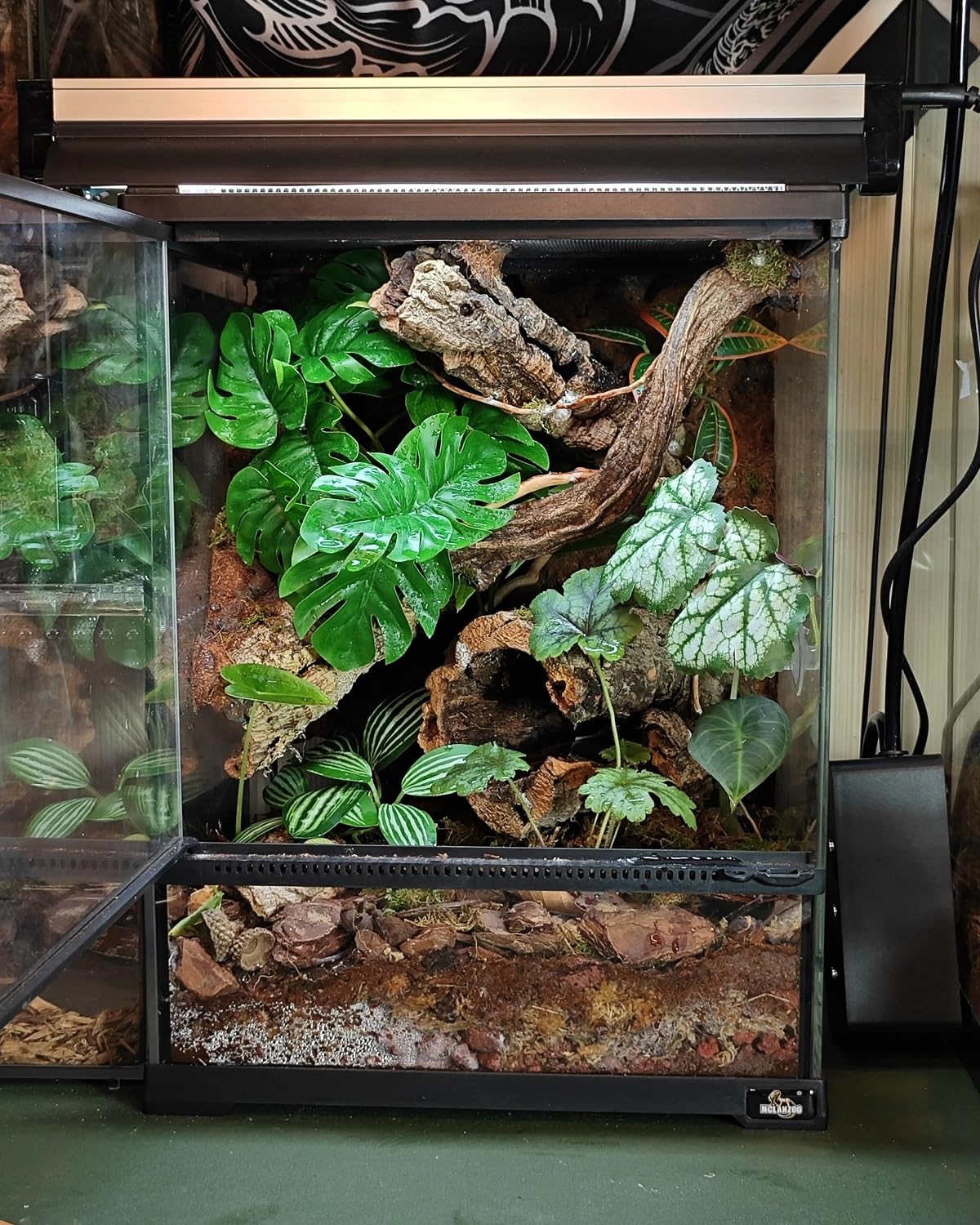 PIKAZISO artificial stone base provides stable foundation in terrarium