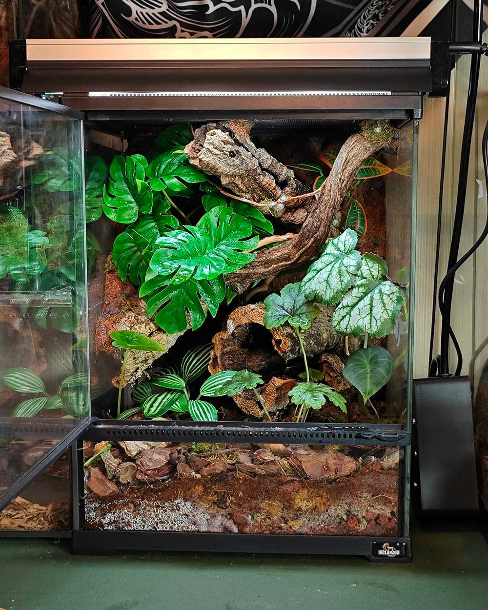 PIKAZISO artificial stone base provides stable foundation in terrarium
