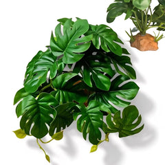 PIKAZISO fake Monstera Deliciosa adds natural aesthetics for terrarium scenery and hides