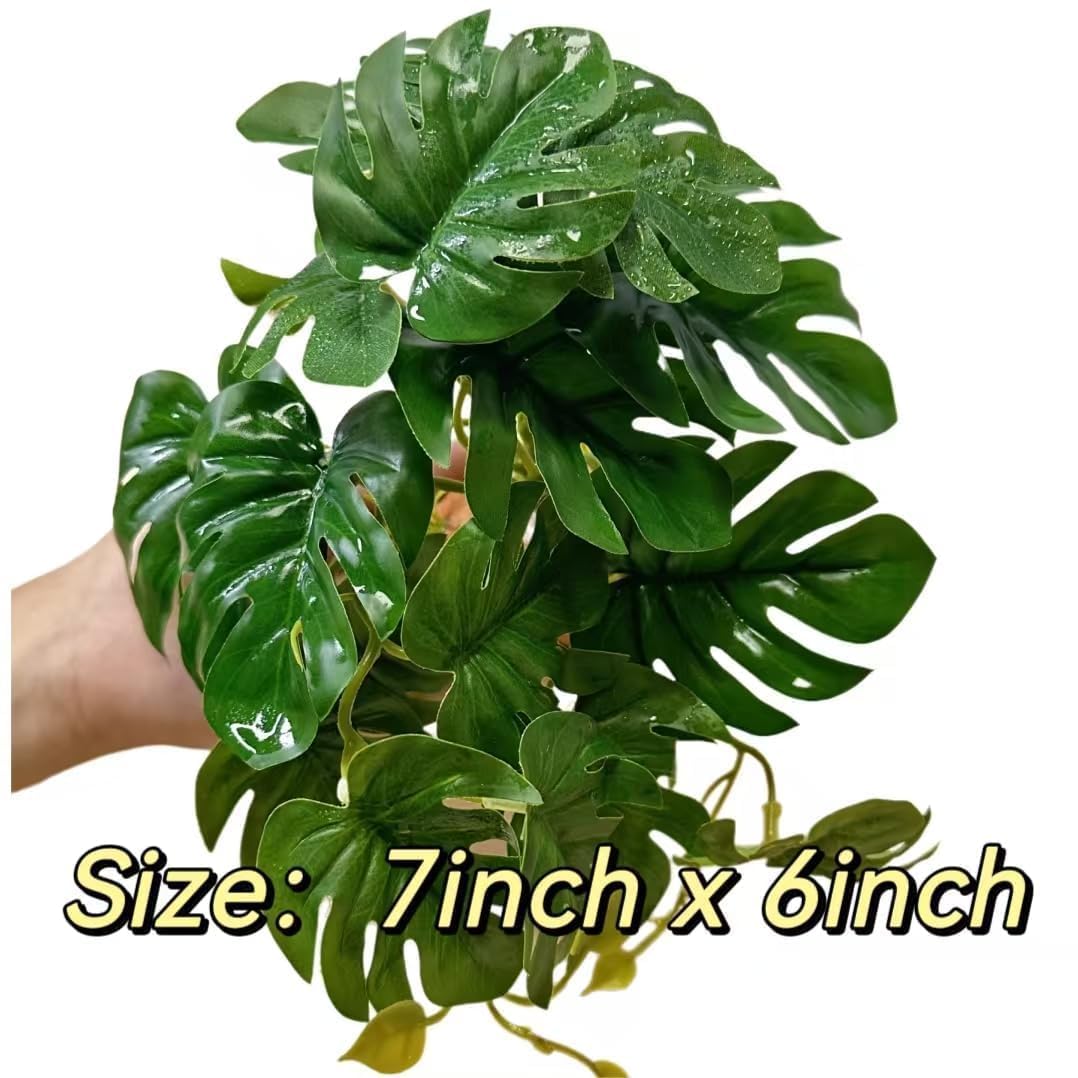 PIKAZISO branches create ample coverage and hiding areas in terrarium