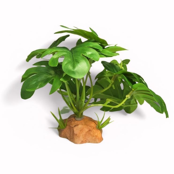 PIKAZISO terrarium plant enhances habitat realism with low maintenance